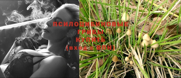 СК Баксан