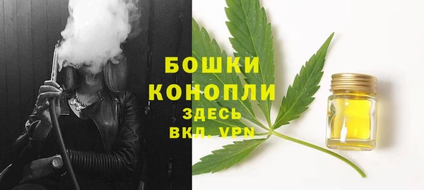 прущие грибы Балабаново