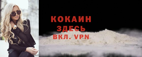 прущие грибы Балабаново