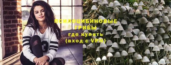 прущие грибы Балабаново
