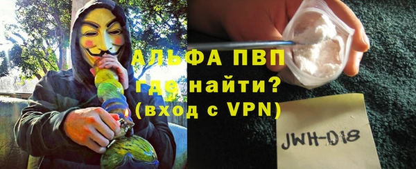 прущие грибы Балабаново