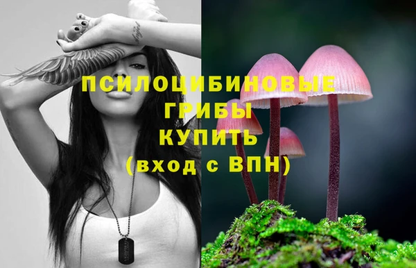 СК Баксан