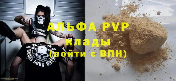 прущие грибы Балабаново