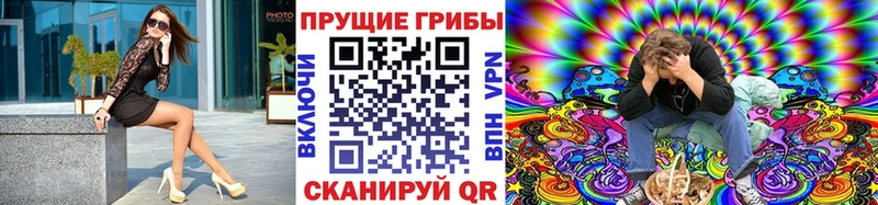shop телеграм  магазин продажи наркотиков  Буй  Галлюциногенные грибы Magic Shrooms 